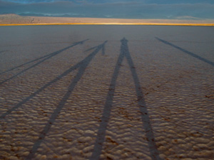 ombres
